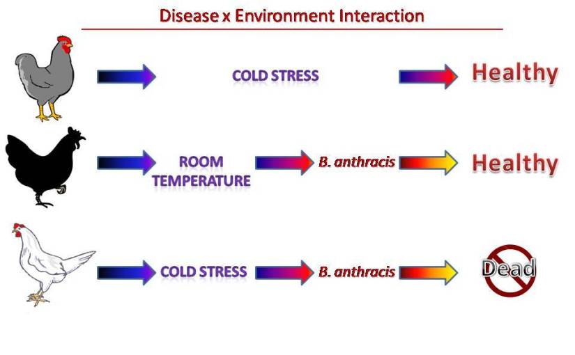 Biopsykososial modell