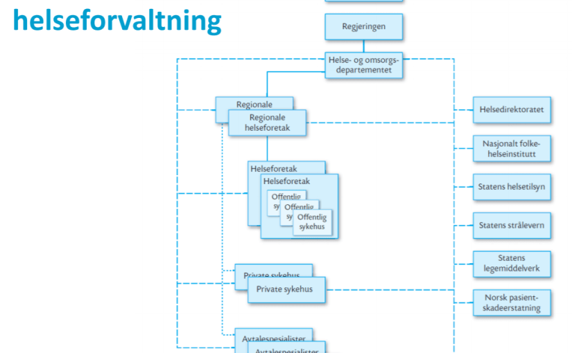 Helsevesenets oppbygging