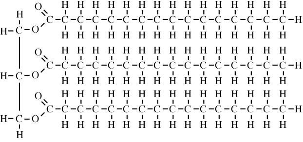 Karbohydrater og lipider