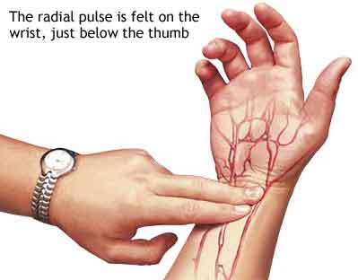 KURS: Puls og&nbsp;blodtrykk